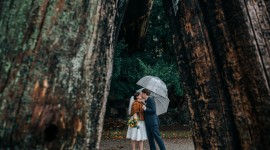 Wedding In The Rain Wallpaper Free