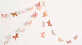 Butterfly Garland Photo