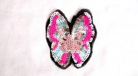 Butterfly Rhinestone Applique Photo Download