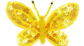 Butterfly Rhinestone Applique Photo#1