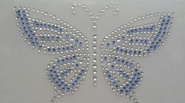 Butterfly Rhinestone Applique For Android#1