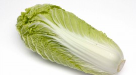 Chinese Cabbage Wallpaper Download