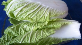 Chinese Cabbage Wallpaper Download Free