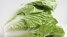 Chinese Cabbage Wallpaper Free
