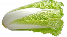 Chinese Cabbage Wallpaper Full HD