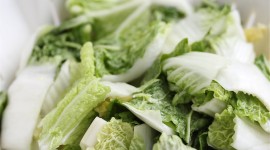 Chinese Cabbage Wallpaper Gallery