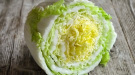 Chinese Cabbage Wallpaper High Definition