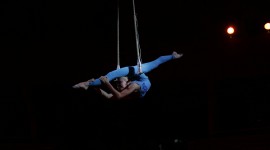 Circus Gymnastics Photo Download