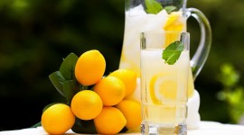 Cocktail With Lemon Photo