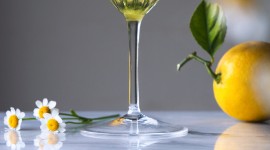 Cocktail With Lemon Wallpaper For Android