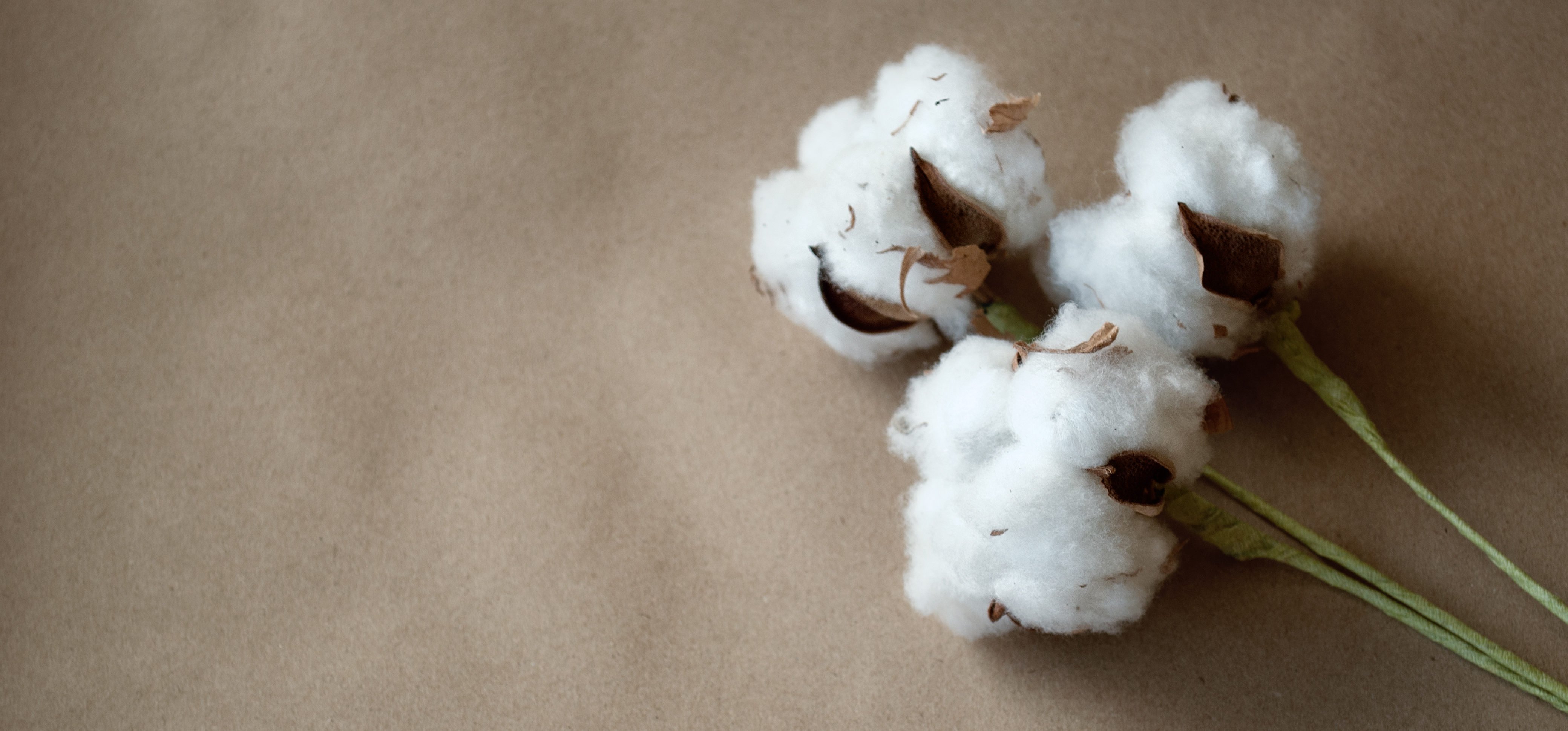 Cotton Wallpapers High Quality | Download Free