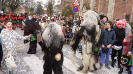 Fasching Carnival Photo Download