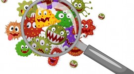 Funny Germs Photo Free