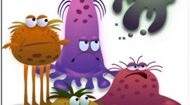 Funny Germs Wallpaper For IPhone#1