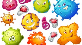 Funny Germs Wallpaper HQ