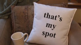 Funny Pillow Photo#2