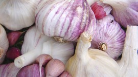 Garlic Wallpaper For IPhone