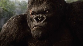King Kong Wallpaper For IPhone