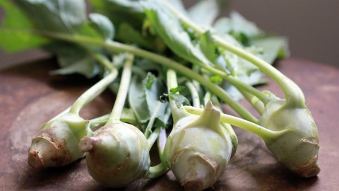 Kohlrabi Cabbage wallpapers high quality