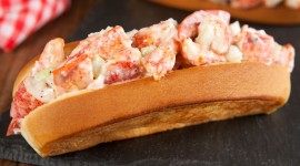Lobster Roll Photo#1