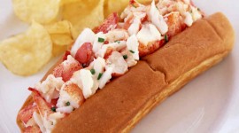 Lobster Roll Wallpaper For IPhone