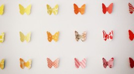Paper Butterflies Photo#1