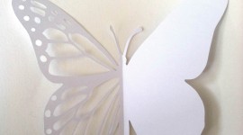 Paper Butterflies Wallpaper For Mobile#1