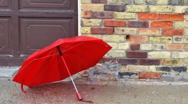 Red Umbrellas Wallpaper Download