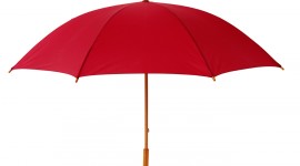 Red Umbrellas Wallpaper Download Free