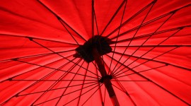 Red Umbrellas Wallpaper High Definition