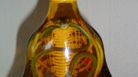 Snake In Alcohol Wallpaper For Mobile