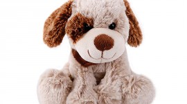 Toy Puppy Wallpaper For IPhone#2