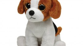Toy Puppy Wallpaper Gallery