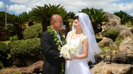 Wedding In Hawaii Photo Download