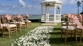 Wedding In Hawaii Photo Download#1