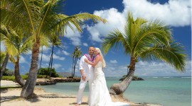 Wedding In Hawaii Photo Free#2