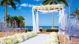 Wedding In Hawaii Photo#3