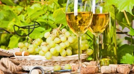 White Wines Wallpaper For PC
