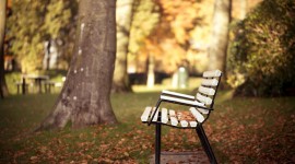 4K Benches Photo Download