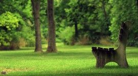 4K Benches Photo Download#1