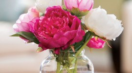 4K Bouquet Of Peonies Wallpaper For Mobile#1
