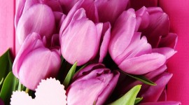 4K Bouquet Tulips Wallpaper For Mobile