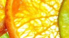 4K Orange Slices Wallpaper For IPhone
