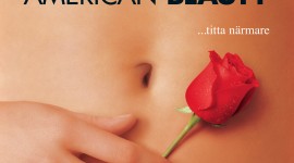 American Beauty Wallpaper For IPhone