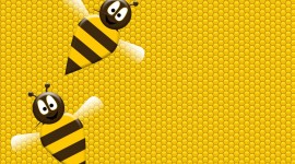 Bees Frame Wallpaper HQ