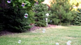 Bubbles Grass Photo