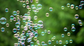 Bubbles Grass Wallpaper
