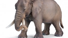 Elephant Toys Wallpaper For PC