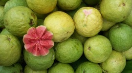 Guava Wallpaper Download Free