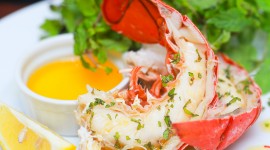 Prepare Lobster Photo Download